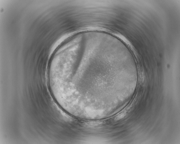 X0000058781294200510211738