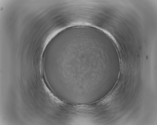 X0000058781295200510211738