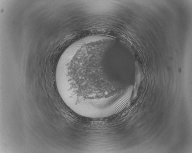 X0000058781297200510211738