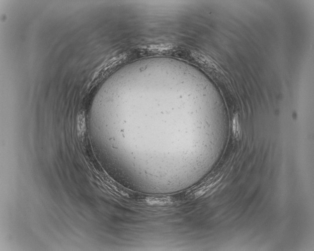 X0000058781299200510211738