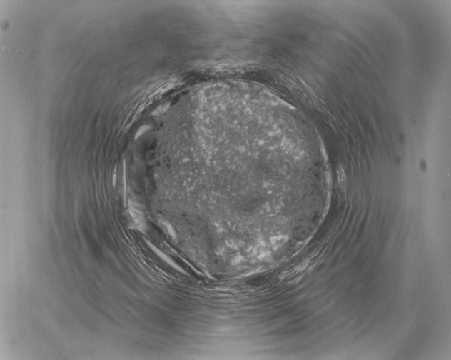 X0000058781300200510211738