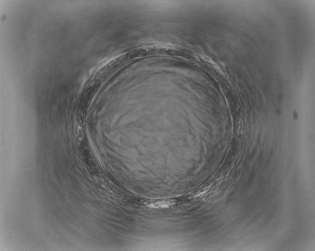 X0000058781303200510211738