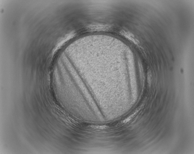 X0000058781309200510211738