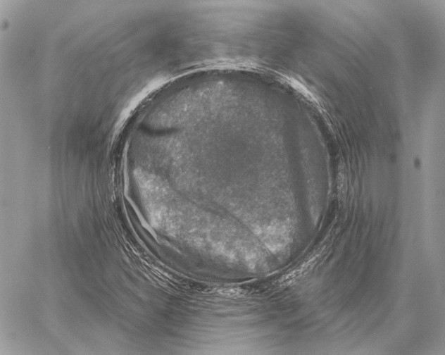 X0000058781310200510211738