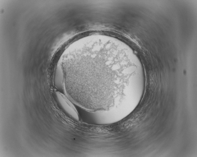 X0000058781311200510211738