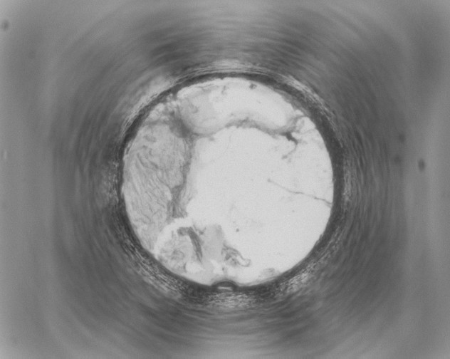 X0000058781314200510211738