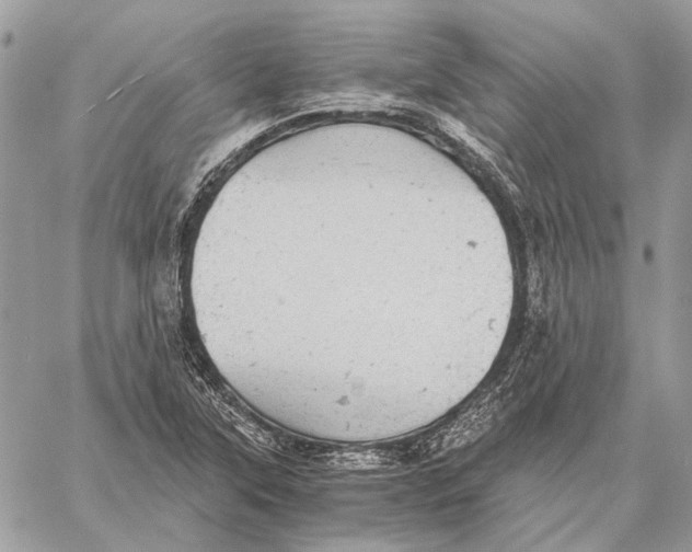 X0000058781315200510211738