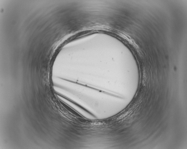 X0000058781316200510211738