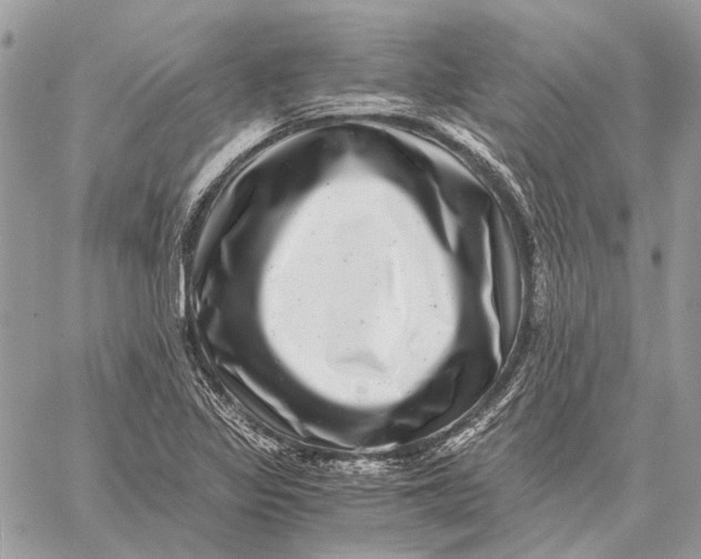 X0000058781317200510211738