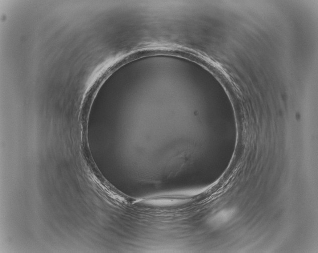 X0000058781319200510211738