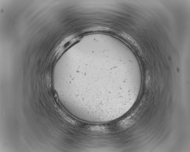 X0000058781321200510211738