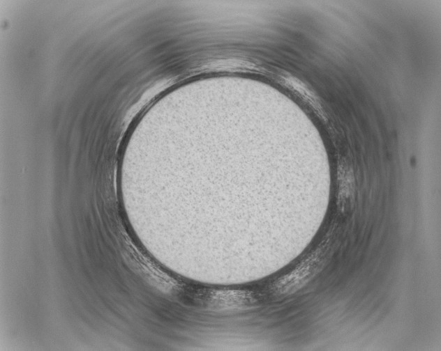 X0000058781322200510211738