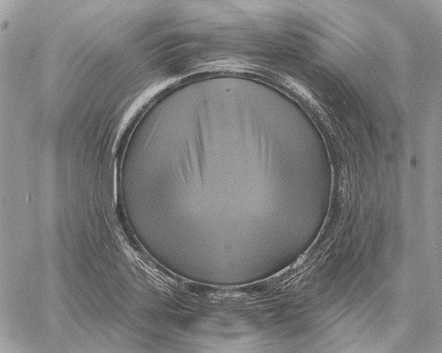 X0000058781323200510211738