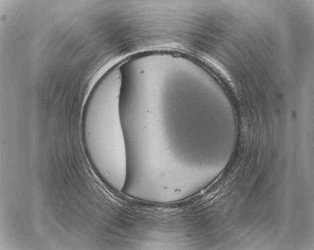 X0000058781324200510211738