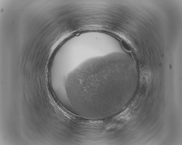 X0000058781325200510211738