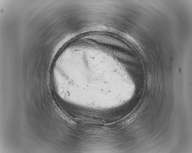 X0000058781326200510211738