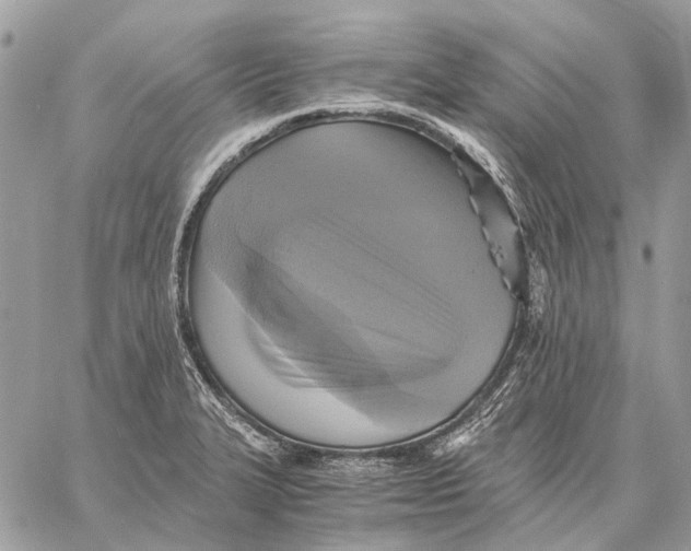 X0000058781327200510211738