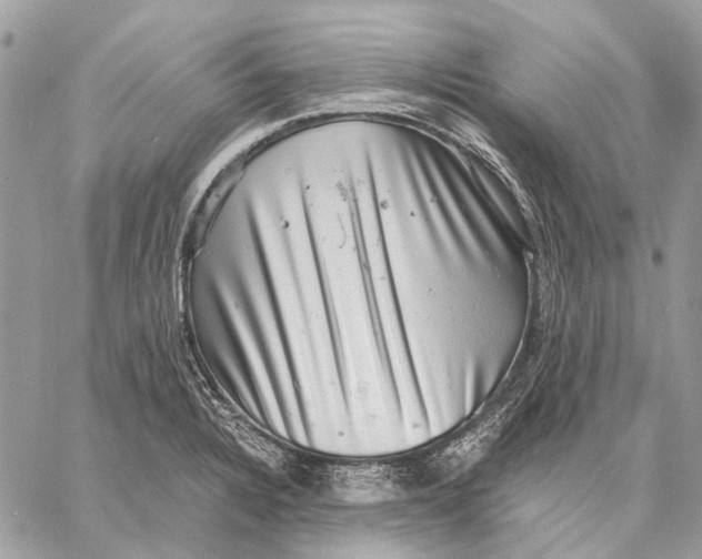 X0000058781328200510211738