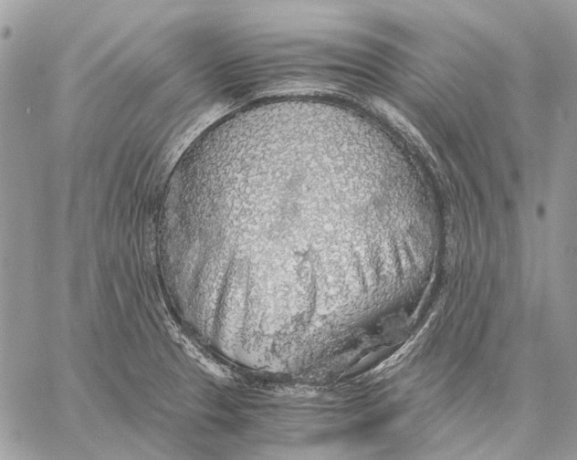 X0000058781329200510211738