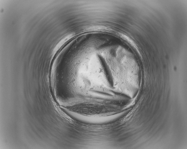 X0000058781330200510211738