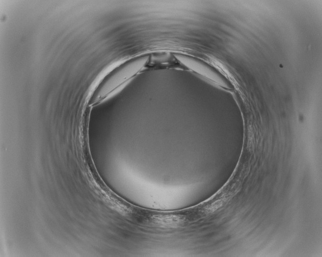 X0000058781331200510211738