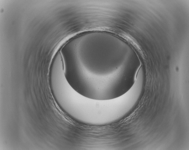 X0000058781332200510211738