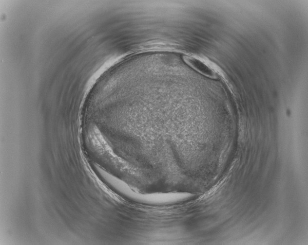 X0000058781333200510211738