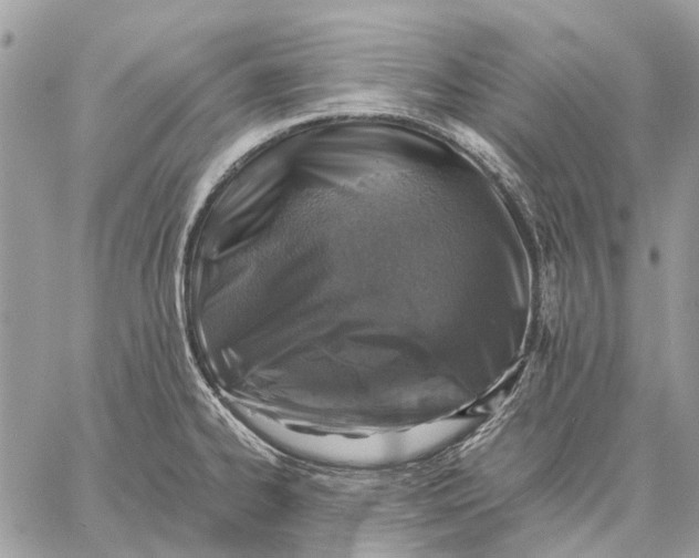 X0000058781334200510211738