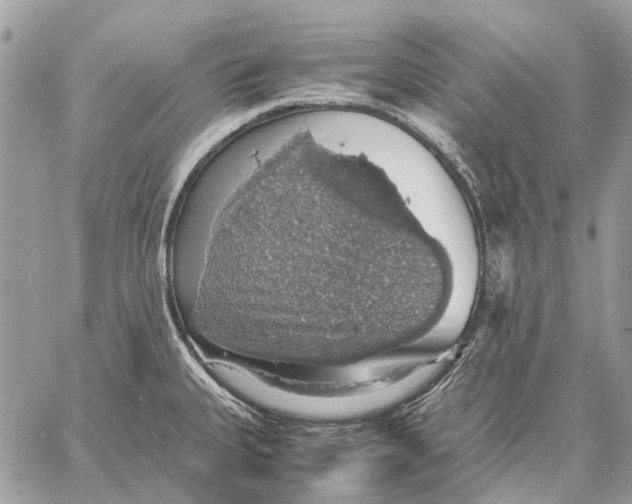 X0000058781335200510211738