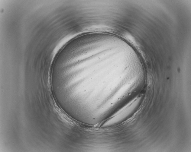 X0000058781336200510211738