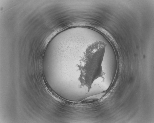 X0000058781337200510211738