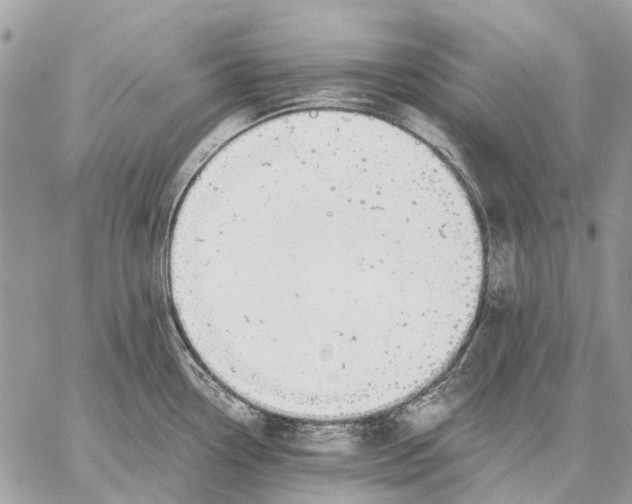 X0000058781338200510211738