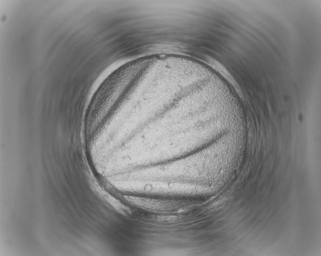 X0000058781339200510211738