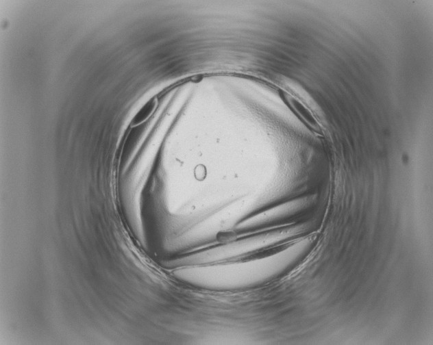 X0000058781340200510211738