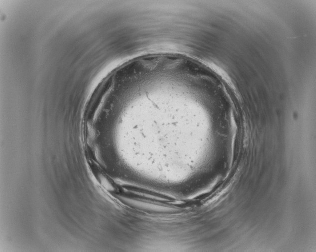 X0000058781342200510211738