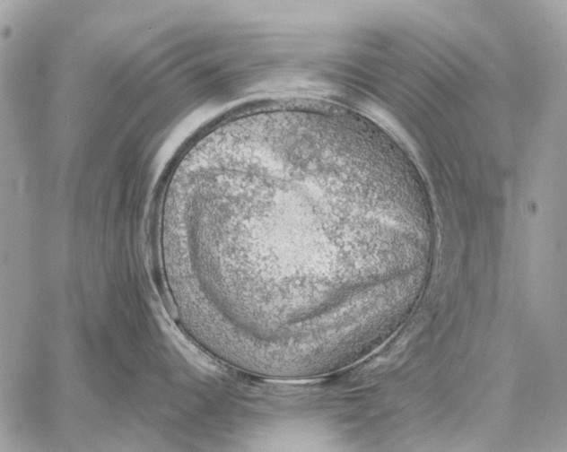 X0000058781344200510211738