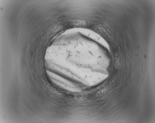 X0000058781345200510211738