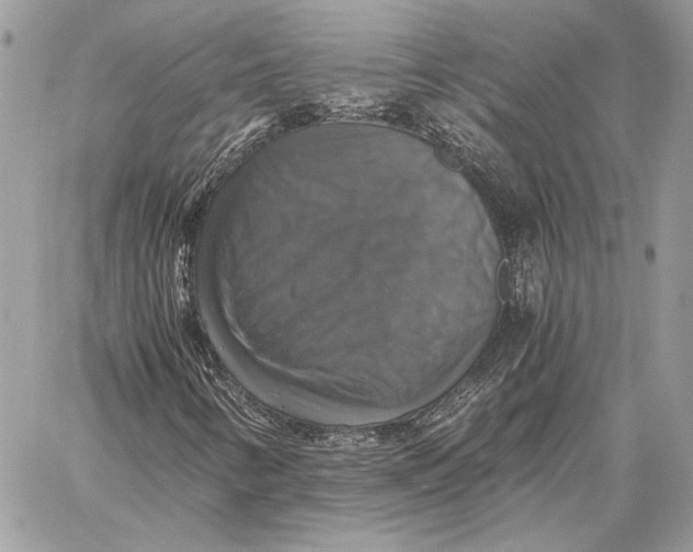 X0000058781346200510211738