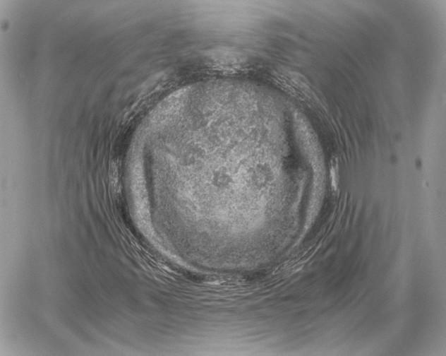 X0000058781347200510211738