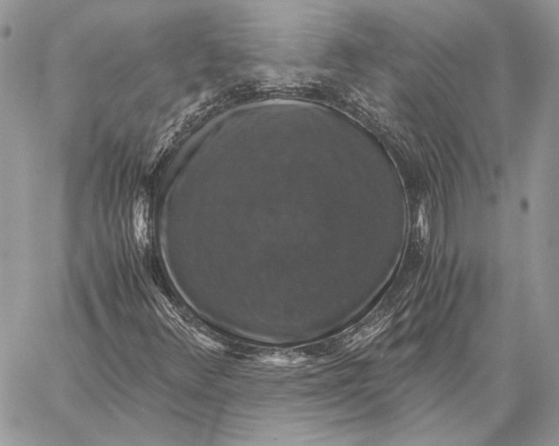 X0000058781348200510211738