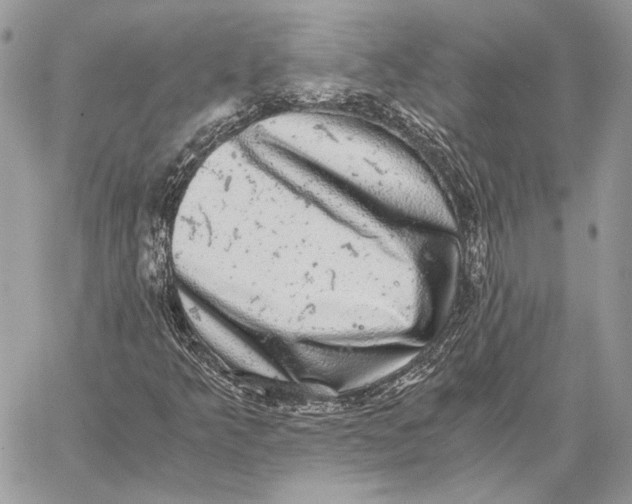 X0000058781349200510211738