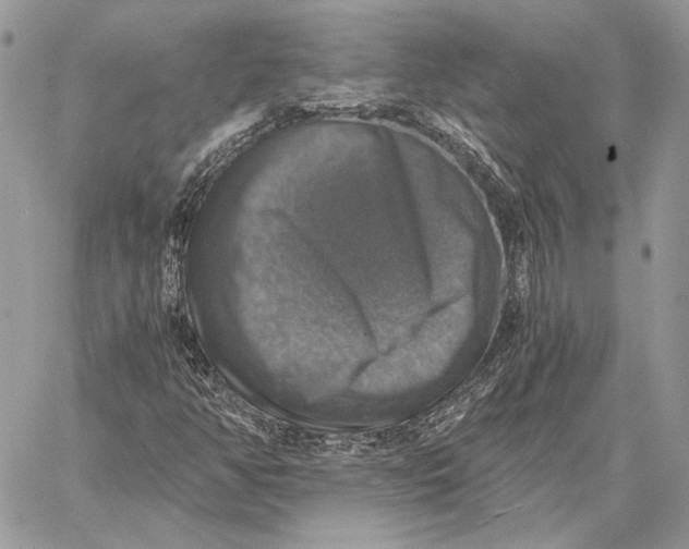 X0000058781350200510211738