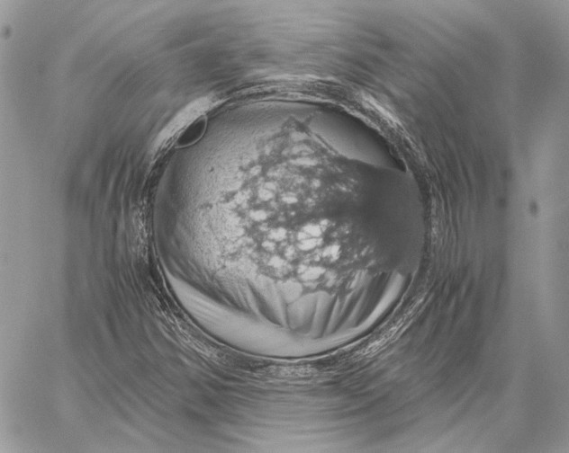 X0000058781354200510211737