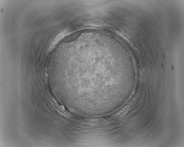 X0000058781355200510211737