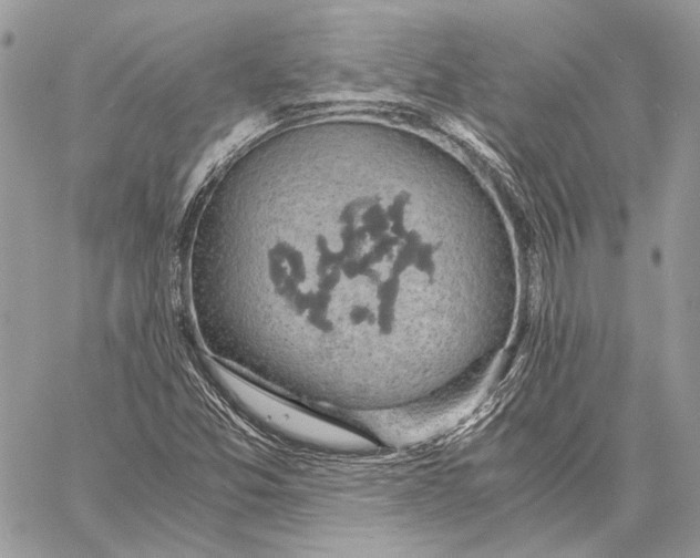 X0000058781357200510211737