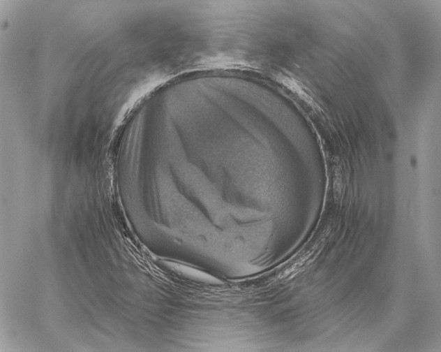 X0000058781358200510211737