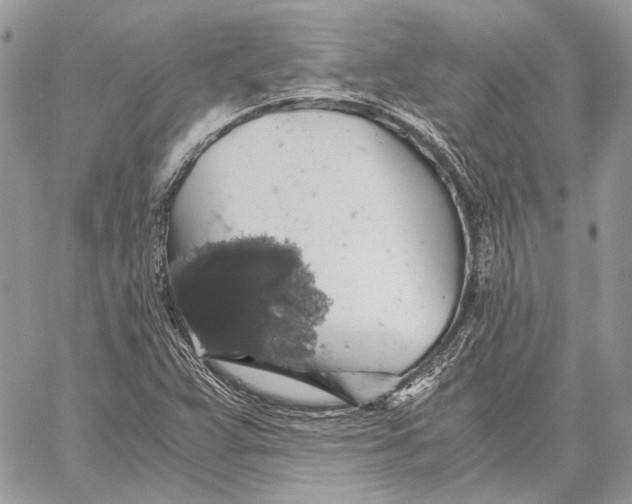 X0000058781359200510211737