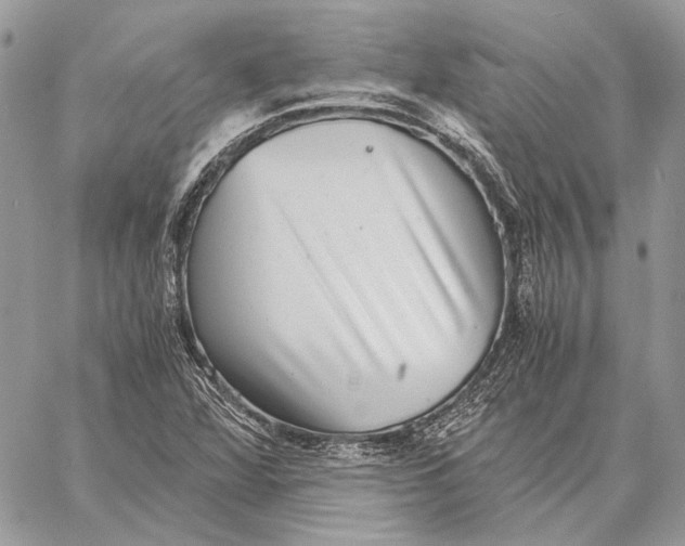 X0000058781360200510211737