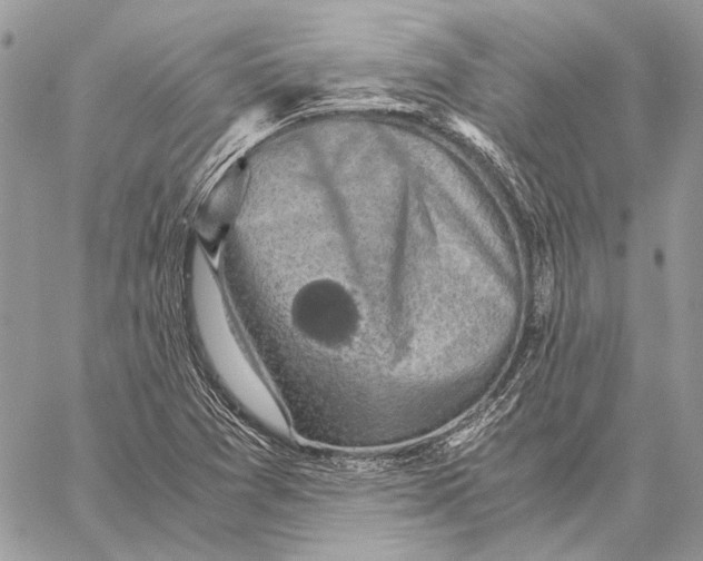 X0000058781361200510211737