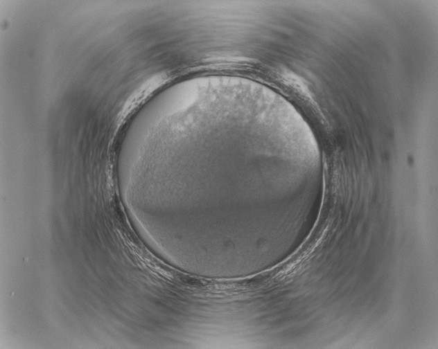 X0000058781362200510211737